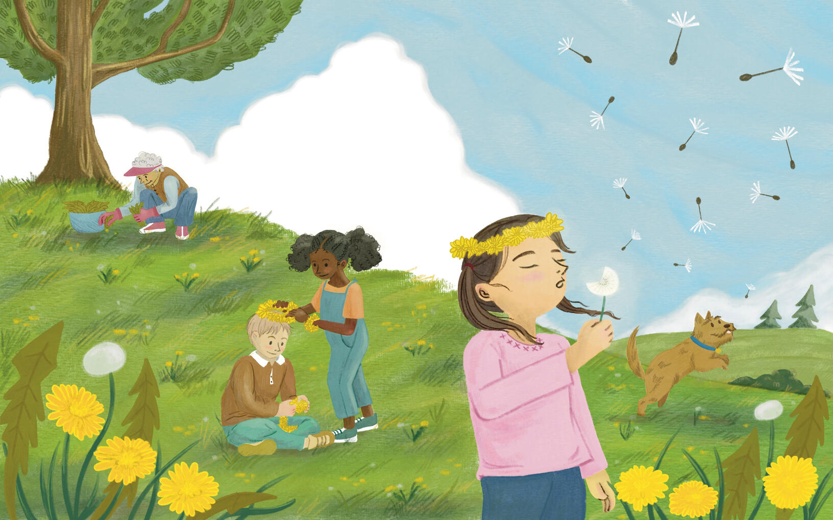 An open field where a grandmother harvests dandelion leaves, a dog chases after flying dandelion seeds and children make crowns and bracelets and blow away dandelion seeds.